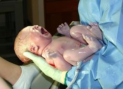 Net geboren baby in handen van zorgpersoneel