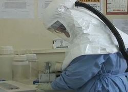 Normal_virus_onderzoek_ebola