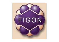 FIGON Dutch Medicines Days