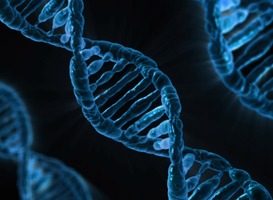 Nieuwe hoogleraar onderzoekt hoe de omgeving inwerkt op ons DNA