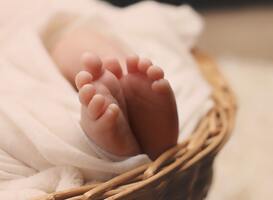 Normal_baby-s-feet-on-brown-wicker-basket-161534