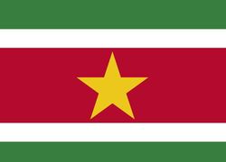 vlag van Suriname