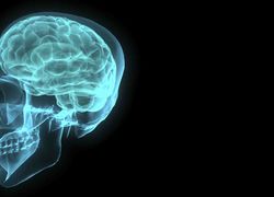 hersenen depressie informatie onderzoek