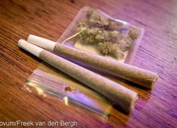 Normal_joints_wiet_marihuana_marijuana