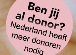 Normal_jaofnee_donor