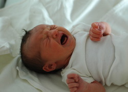 Normal_crying_newborn