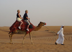 Normal_kameel_dubai_woestijn