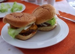 Normal_hamburgers