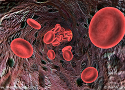 Normal_rode_bloed_cellen