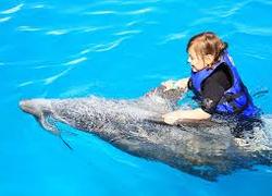 Normal_dolfijnentherapie