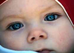 Normal_close-up_photograph_of_a_male_baby__4584204357_