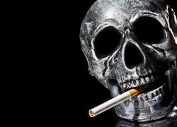 Normal_copyright_stockfreeimages_roken_ongezond_gezondheid_tabak