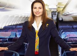 Normal_stewardess