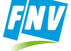 Normal_fnv_logo