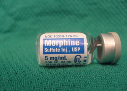 Normal_morfine