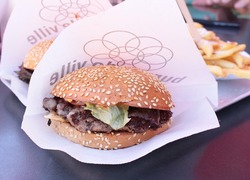 Normal_burger_hamburger_ongezond_voedsel_eten