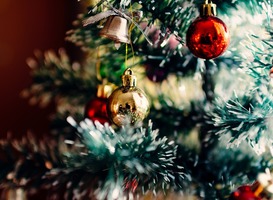 Normal_kerstboom