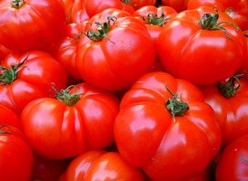 Normal_tomaten_eten_gezond_voedsel