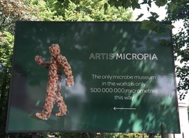 Normal_artis_micropia__microbenmuseum__foto_pd_