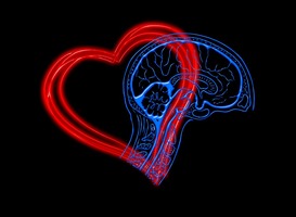 Onderzoek oorzaak hartfalen en dementie