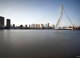Rotterdam zoekt locatie quarantaines