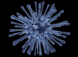 Zes nieuwe besmettingen coronavirus