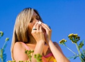 Veel pollen in de lucht waardoor kans op hooikoortsklachten flink toeneemt