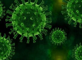 Dodental coronavirus stijgt met 28 naar 5931
