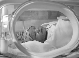 Ouders te vroeg geboren baby kunnen familie uitnodigen voor visite op afstand 