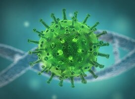 LUMC vindt ontbrekende schakel in kopieerproces coronavirussen