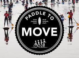 Normal_paddle_to_move