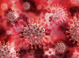 Omikron-variant coronavirus nu dominant in Nederland