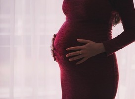 Website voor zwangeren, zorgverleners, docenten en onderzoekers vernieuwd