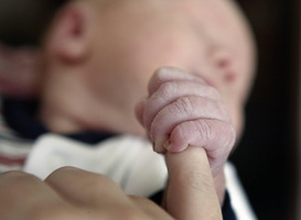 Hersenschade pasgeboren baby met stamcellen in neusdruppels te behandelen