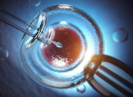 Normal_artificial-insemination-fertilization-of-human-eg-2021-08-26-16-57-05-utc-min__1_
