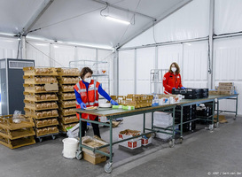 Rode Kruis verleent steeds meer voedselhulp in Nederland