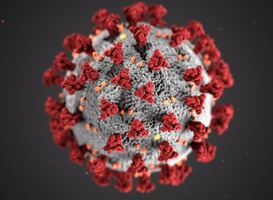 WHO stopt onderzoek naar de oorsprong van coronavirus