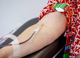 Homoseksuele mannen volgend jaar ook toegestaan bloed te doneren