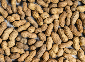 Normal_background-from-the-raw-peanuts-texture-top-view-2022-09-07-00-30-08-utc
