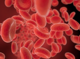 European Regulator Calls for Removal of Ineffective Sickle Cell Disease Drug Crizanlizumab, Research Shows No Effect