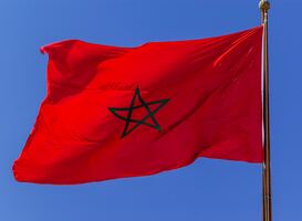 Ruim 180 zorgverleners bereid om op korte termijn hulp te bieden in Marokko 
