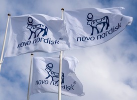 Normal_novo_nordisk