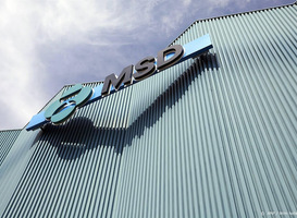 MSD zet fabriek Oss voor immuuntherapie én medewerkers in de verkoop