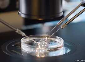 NPV: 'Aanpassing Embryowet verslechtering van nu al ongewenste situatie'