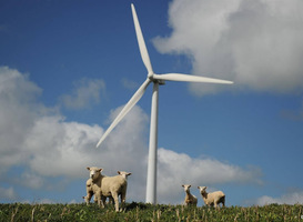 Limburg wil symposium over gevolgen windmolens op gezondheid