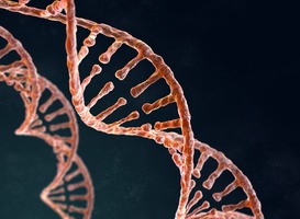 Tien patienten met erfelijke angio-oedeem ziektevrij na CRISPR-Cas