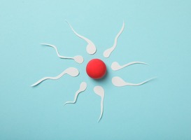 Gentle touch vasectomy: vriendelijke sterilisatietechniek voor mannen