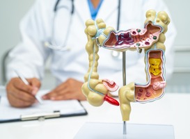 Normal_intestine-appendix-and-digestive-system-doctor-h-2024-01-18-12-03-29-utc__1_