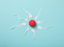 Normal_normal_fertilization-concept-ovulation-period-sperm-and-2023-11-27-04-58-33-utc__1_