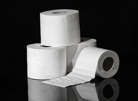 Papier op wc-bril openbaar toilet houdt bacteriën niet tegen 